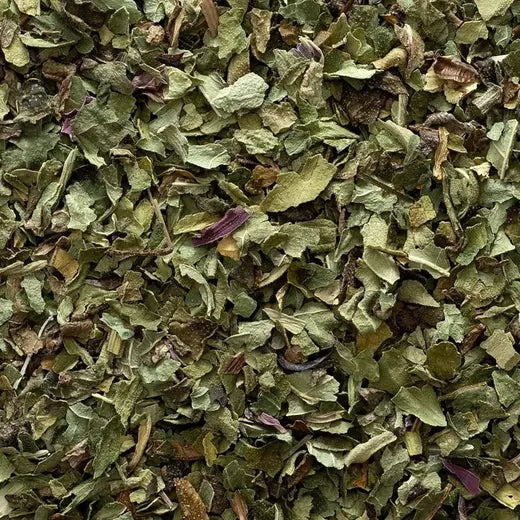 Wildcrafted Echinacea Purpurea