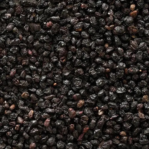 Wildcrafted Elderberry