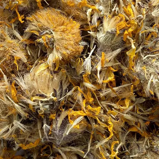 Arnica Flower