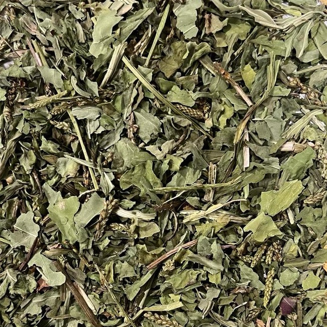 Plantain Leaf