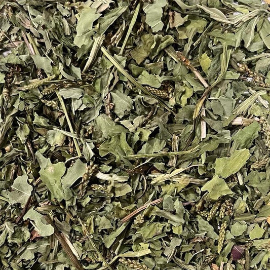 Plantain Leaf